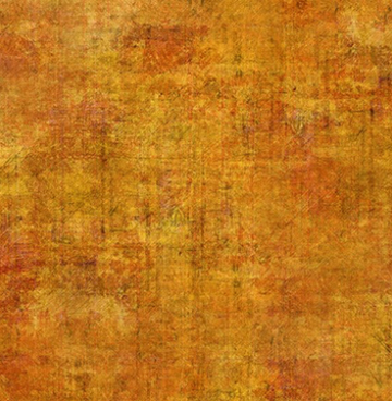 12HN3 Halcyon van Jason Yenter goud