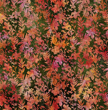 9HN1 Halcyon van Jason Yenter rood