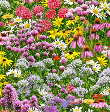 518 Landscape medley/bloemen multi
