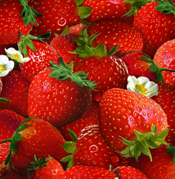 155 Berry Food/aardbeien rood