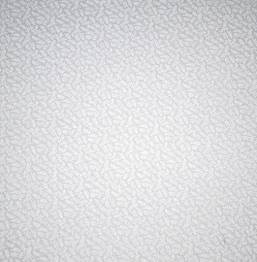 313 048 wit