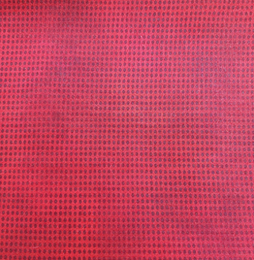DitDot Evolution IDD11 ITB Roze/Rood