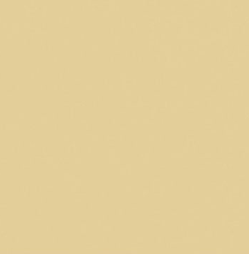 2000 Q44 Beige