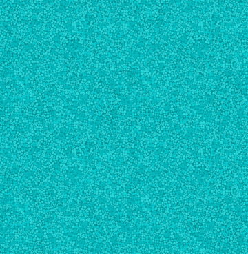 4511 117 aqua