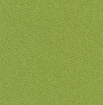 Sue Spargo Electric Lime LN13