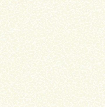 Ivoor 760 Q2