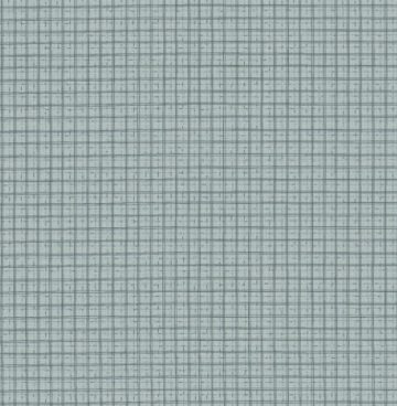 6600 257 Something Borrowed Something Blue van Lynette Anderson blauw/ruit