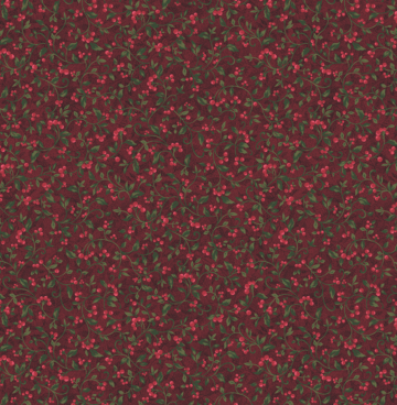 17061 10 Star of Wonder