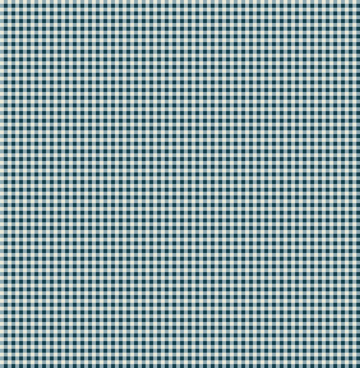 Andover - Cozy House - Judy Jarvi - 1253 B petite gingham midnight