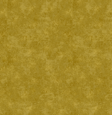 1285Y Edyta Sitar dijon