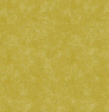 1285V Edyta Sitar olive oil