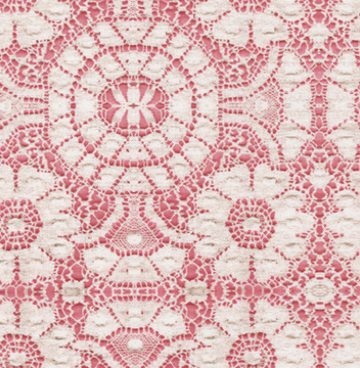 7404 14 Leather and Lace rood