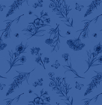 Amalfi Coast - Susan Winget 5555 blauw