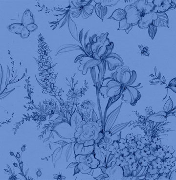 Amalfi Coast - Susan Winget 2555 blauw