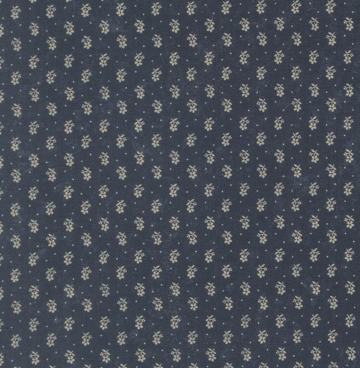 Bluebirds nest - Kansas Troubles 9805-14