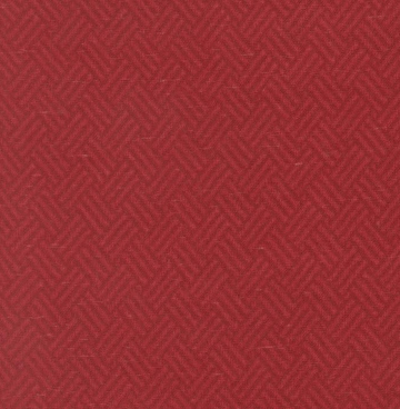 Dubbelbreed Prairie Gatherrings Flannels 108033 rood