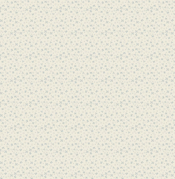 Anni Downs Slow and Steady DV7434 cream