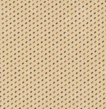 Gatherings Moda 9798-11