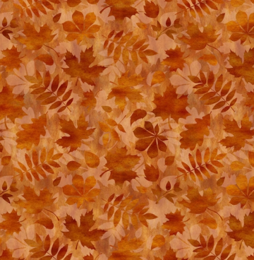 Herfst Jason Yenter 6aut1