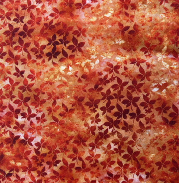 Herfst Jason Yenter 8aut1