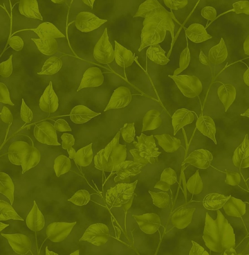 Renaissance 4513-017 groen