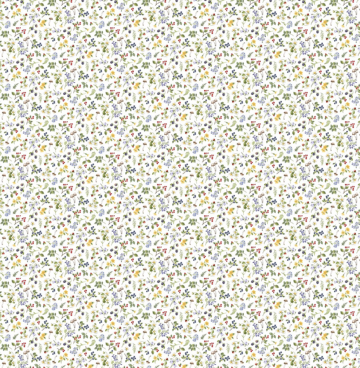 Country Mouse 29010-10