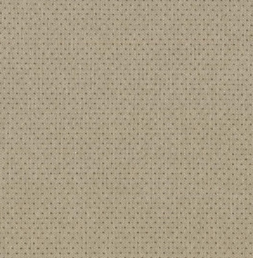 Tochio Yarn Dyed 4547-391 Sand