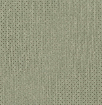 Tochio Yarn Dyed 4547-394 groen