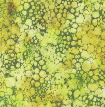 Gradients Gallery – Moda Fabrics 33886-13 groen